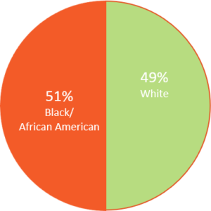 home connection ethnicity pie chart