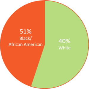 home connection ethnicity pie chart